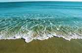 Copyright http://cnfm. cnfm.fr - 15 ko Copyright http://cnfm. cnfm.fr - 15 ko