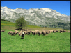 Copyright&nbsp;:  www.fond- ecran-image.com - 7.6&nbsp;ko